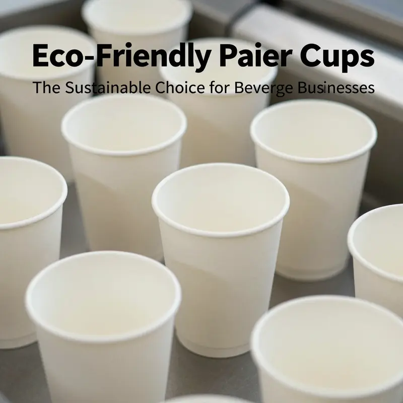 Manufacturing phase highlighting the materials and structures of eco-friendly paper cups.