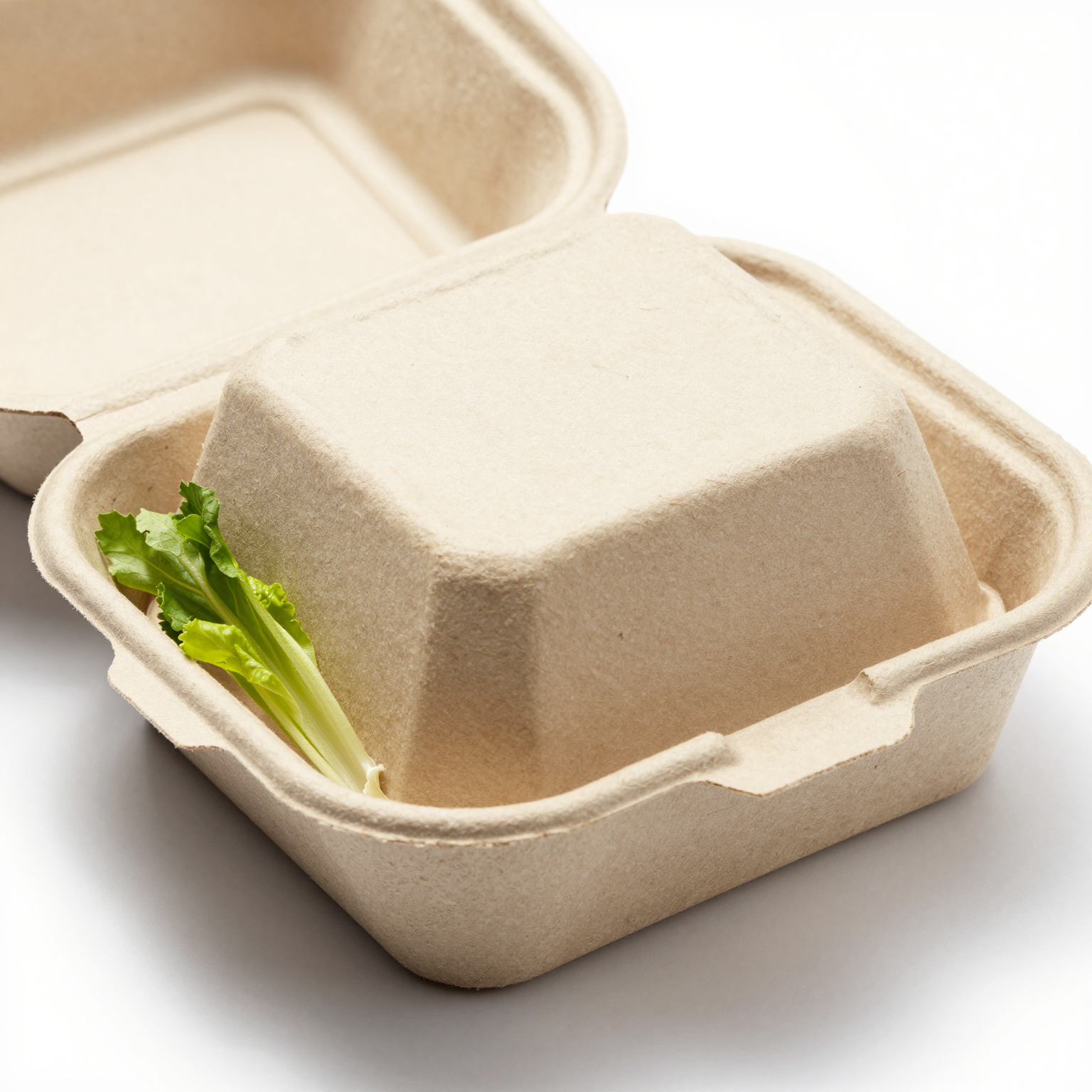 Eco-friendly cardboard takeaway box
