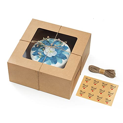 Uchampak - paper disposable snack box Eco Friendly Sushi To Go Box Packaging Window & Foldable Pak - Image 7