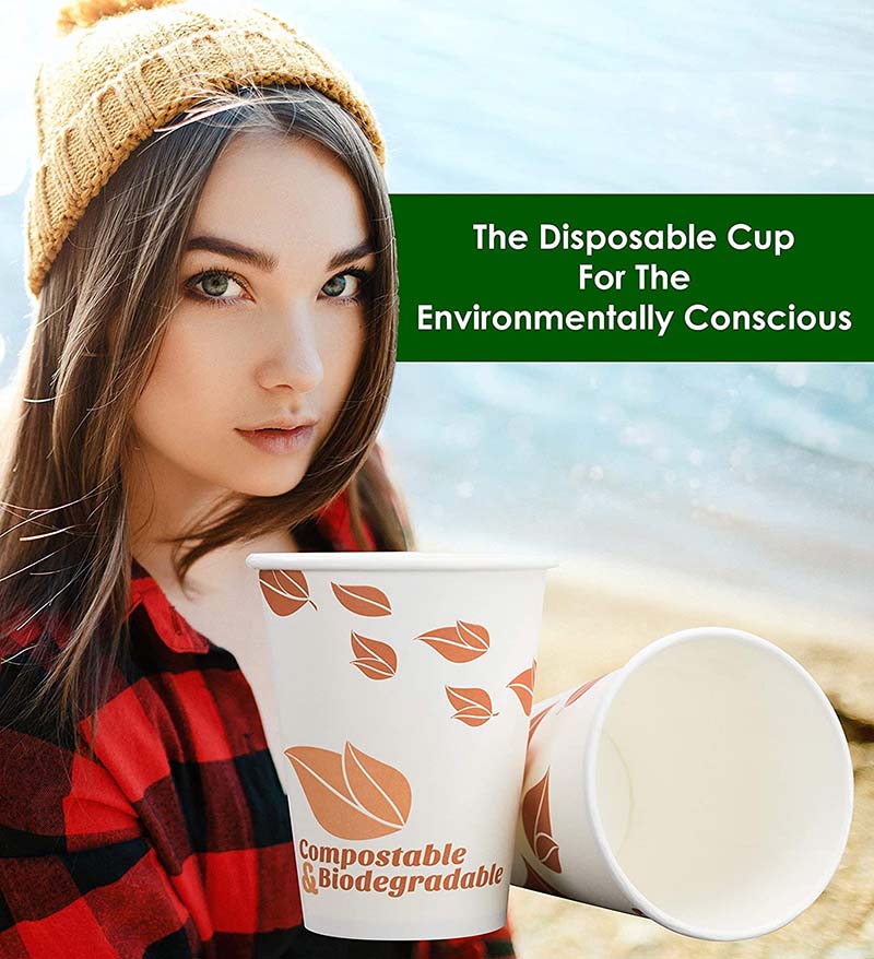 Uchampak- Paper Disposable Cups, Hot / Cold Beverage Drinking Cup for Water, Juice Single wall cup - Image 3
