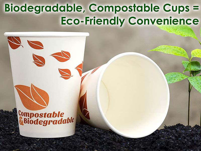 Uchampak- Paper Disposable Cups, Hot / Cold Beverage Drinking Cup for Water, Juice Single wall cup - Image 4