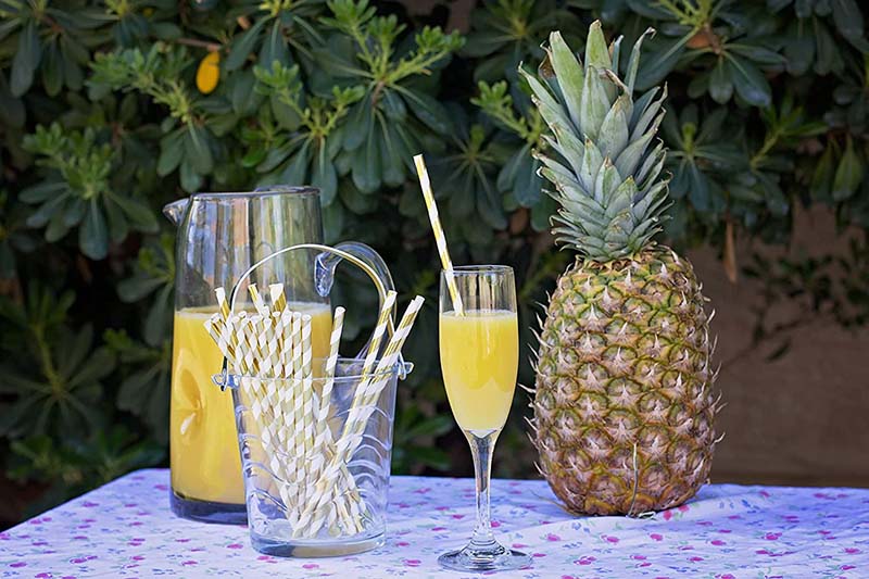 Uchampak - Biodegradable Paper Straws Bulk, Assorted Rainbow Colors Striped Drinking Straws for Juice shakes Accessories9 - Image 5